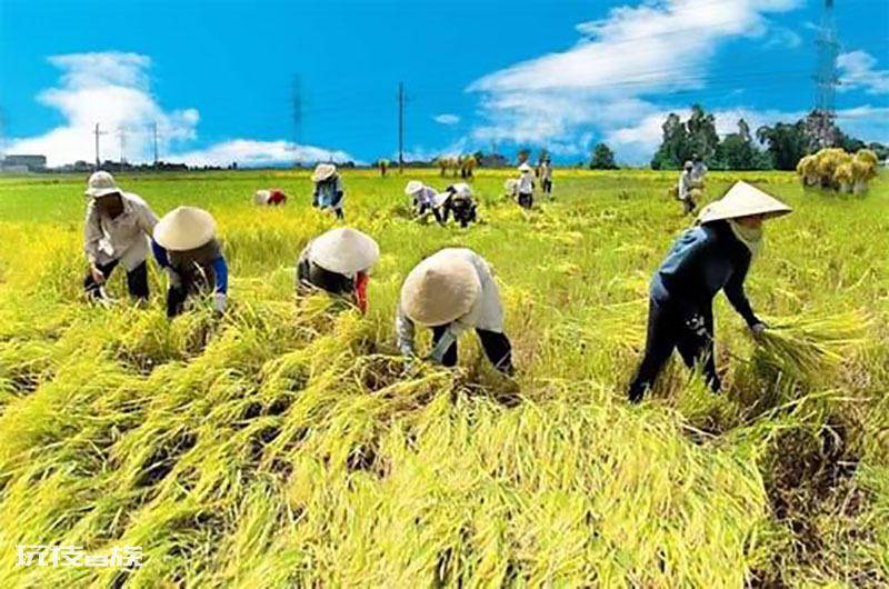 北大仓是指我国哪个省(如今为什么要将北大仓退耕还荒)-图片6